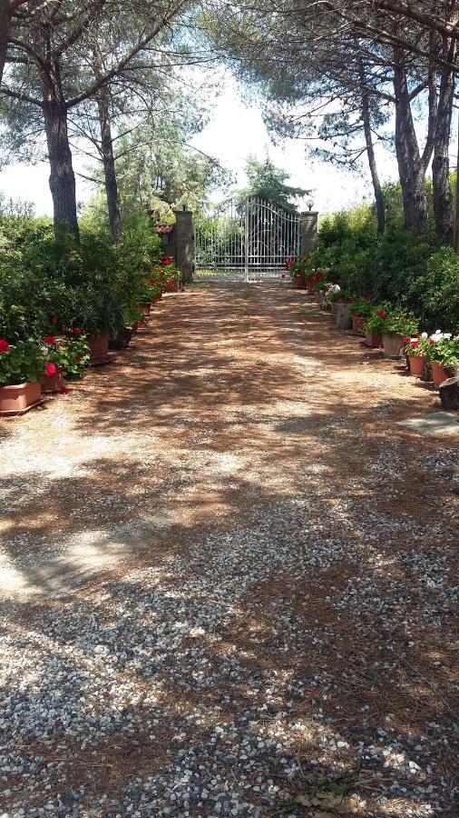 Campo Alle More Чечина Экстерьер фото