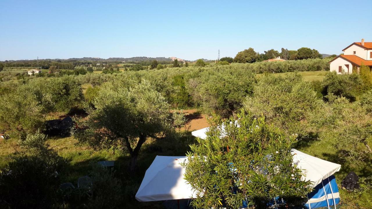 Campo Alle More Чечина Экстерьер фото