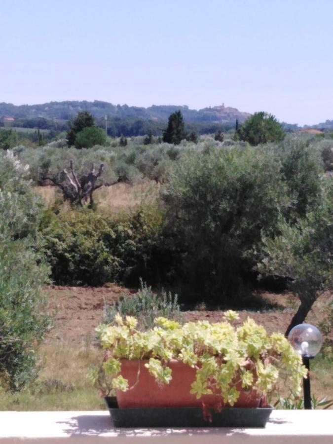 Campo Alle More Чечина Экстерьер фото